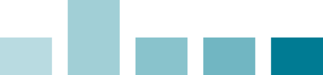 Risk profile, investment term and asset class for Curate MCI Income Plus Fund.